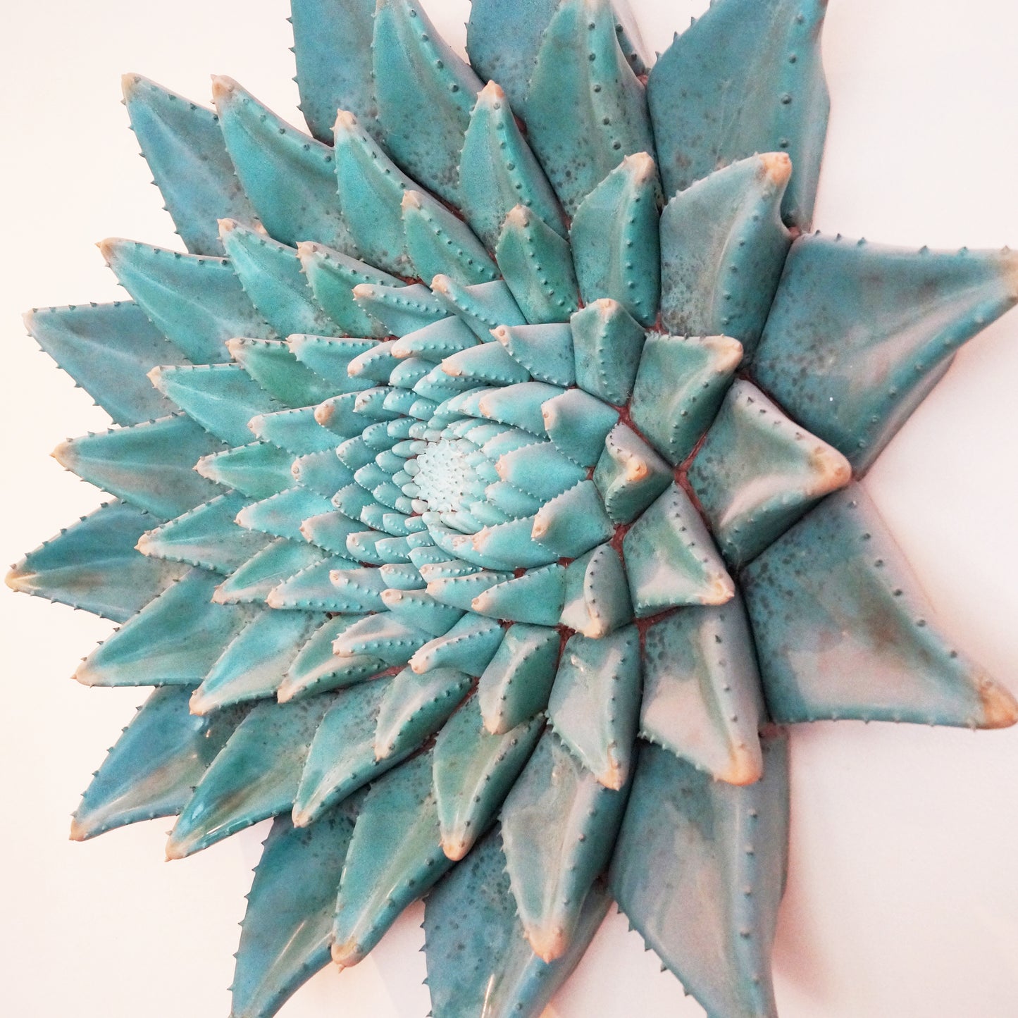 Succulent Mandala, CUSTOM ORDER